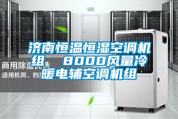 濟南恒溫恒濕空調機組 8000風量冷暖電輔空調機組