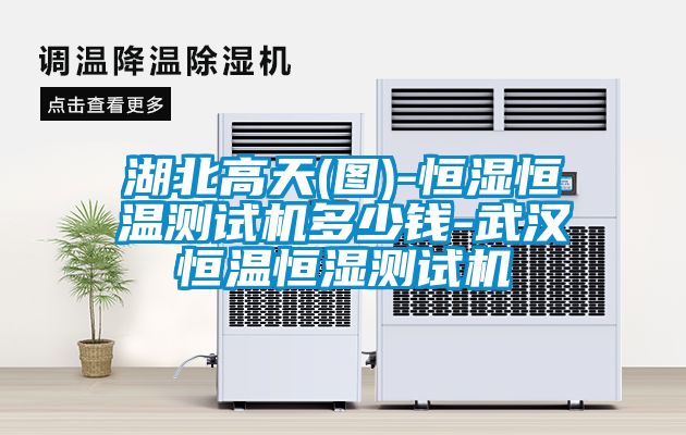 湖北高天(圖)-恒濕恒溫測試機多少錢-武漢恒溫恒濕測試機