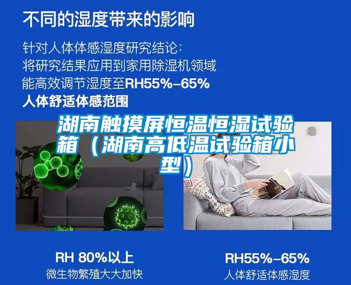 湖南觸摸屏恒溫恒濕試驗箱(湖南高低溫試驗箱小型)