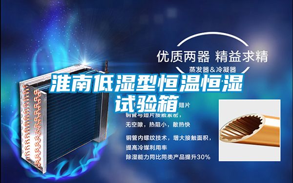 淮南低濕型恒溫恒濕試驗箱