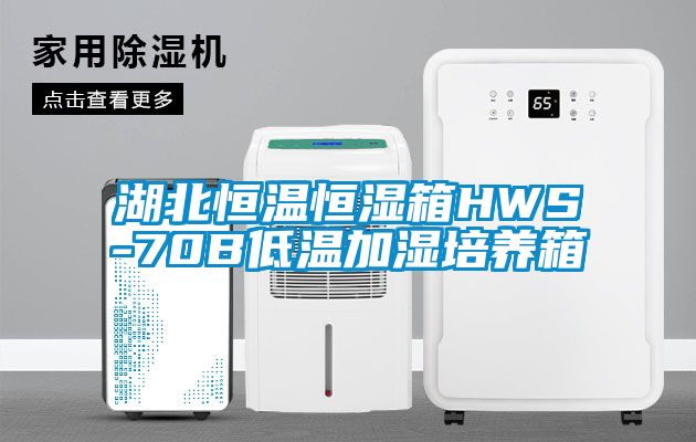 湖北恒溫恒濕箱HWS-70B低溫加濕培養箱
