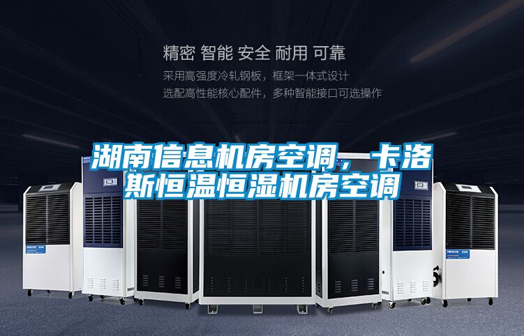 湖南信息機房空調，卡洛斯恒溫恒濕機房空調
