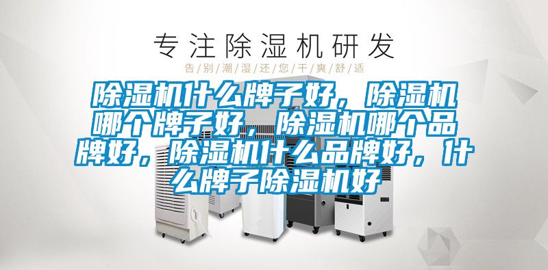 除濕機什么牌子好，除濕機哪個牌子好，除濕機哪個品牌好，除濕機什么品牌好，什么牌子除濕機好