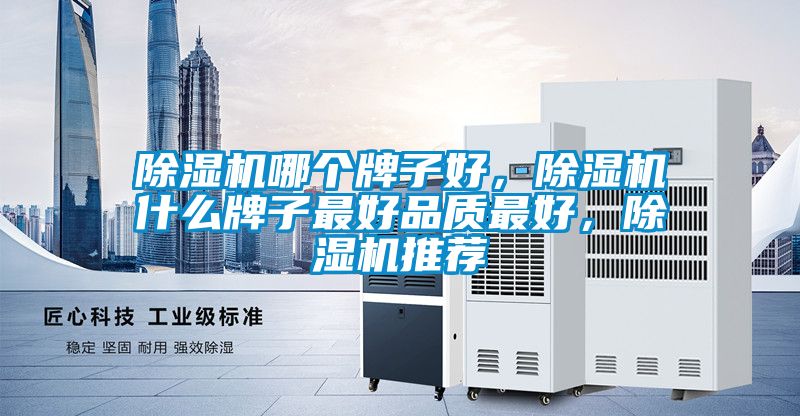 除濕機哪個牌子好，除濕機什么牌子最好品質最好，除濕機推薦