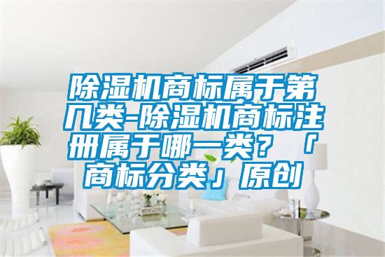 除濕機商標屬于第幾類-除濕機商標注冊屬于哪一類？「商標分類」原創(chuàng)