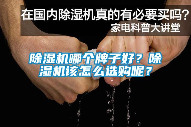除濕機哪個牌子好?除濕機該怎么選購呢?