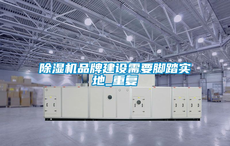 除濕機(jī)品牌建設(shè)需要腳踏實地_重復(fù)