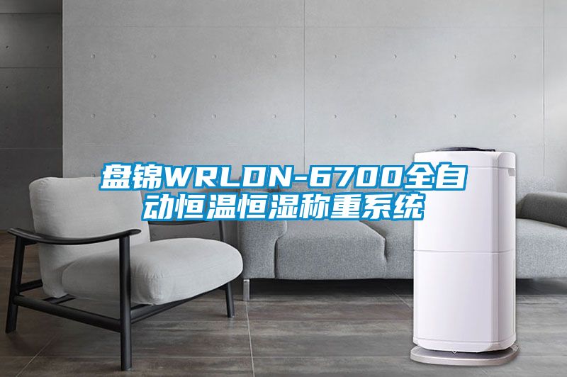 盤錦WRLDN-6700全自動恒溫恒濕稱重系統