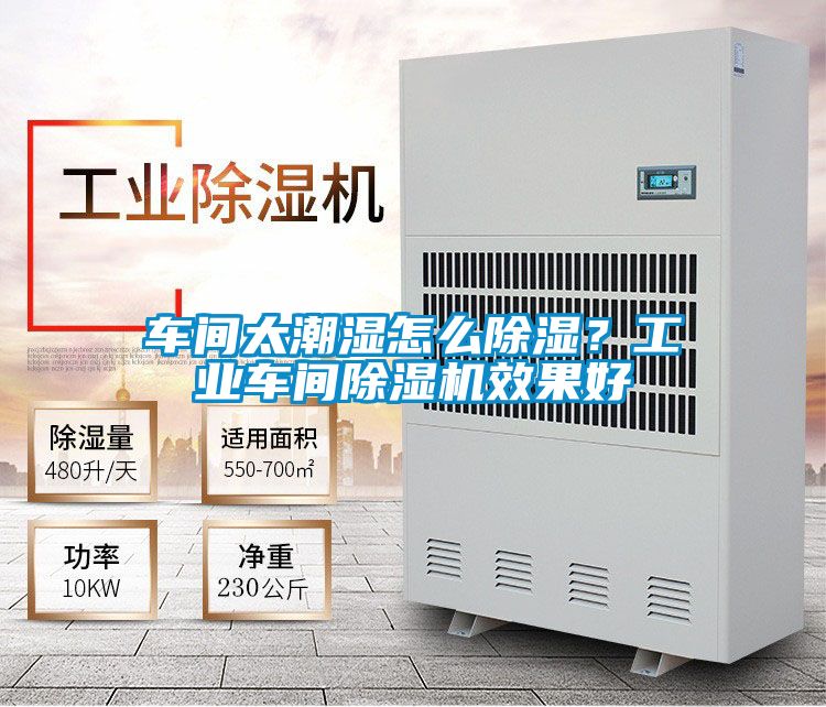 車間太潮濕怎么除濕?工業車間除濕機效果好
