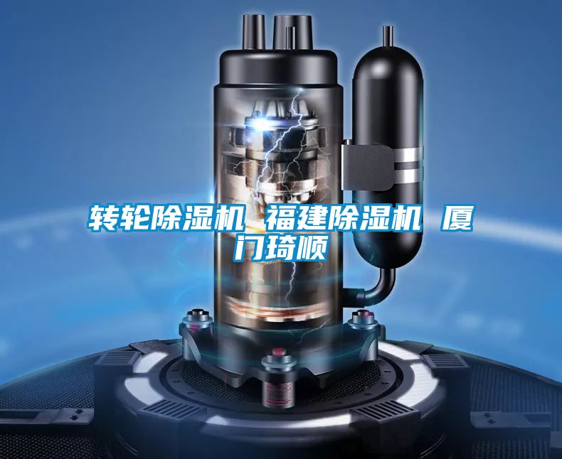 轉(zhuǎn)輪除濕機(jī) 福建除濕機(jī) 廈門琦順