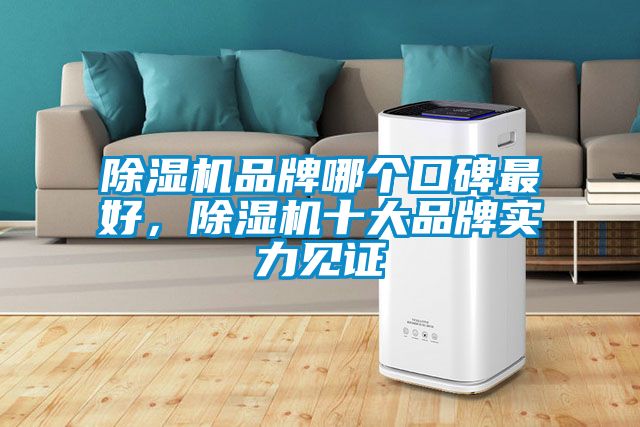除濕機品牌哪個口碑最好,除濕機十大品牌實力見證