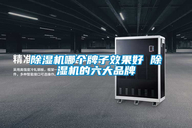 除濕機哪個牌子效果好 除濕機的六大品牌