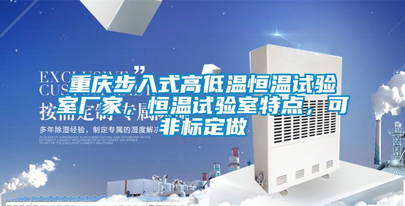 重慶步入式高低溫恒溫試驗室廠家，恒溫試驗室特點，可非標(biāo)定做