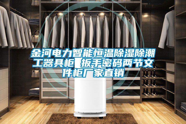 金河電力智能恒溫除濕除潮工器具柜 扳手密碼兩節文件柜廠家直銷