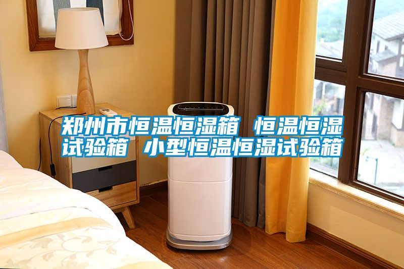 鄭州市恒溫恒濕箱 恒溫恒濕試驗(yàn)箱 小型恒溫恒濕試驗(yàn)箱