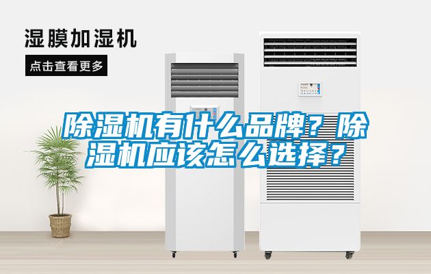 除濕機有什么品牌？除濕機應該怎么選擇？