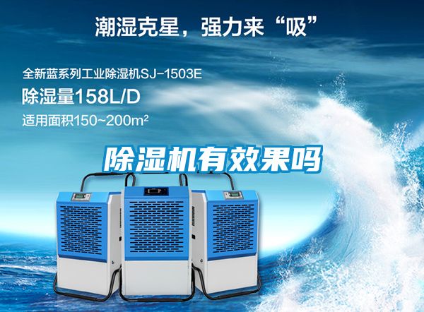 除濕機(jī)有效果嗎