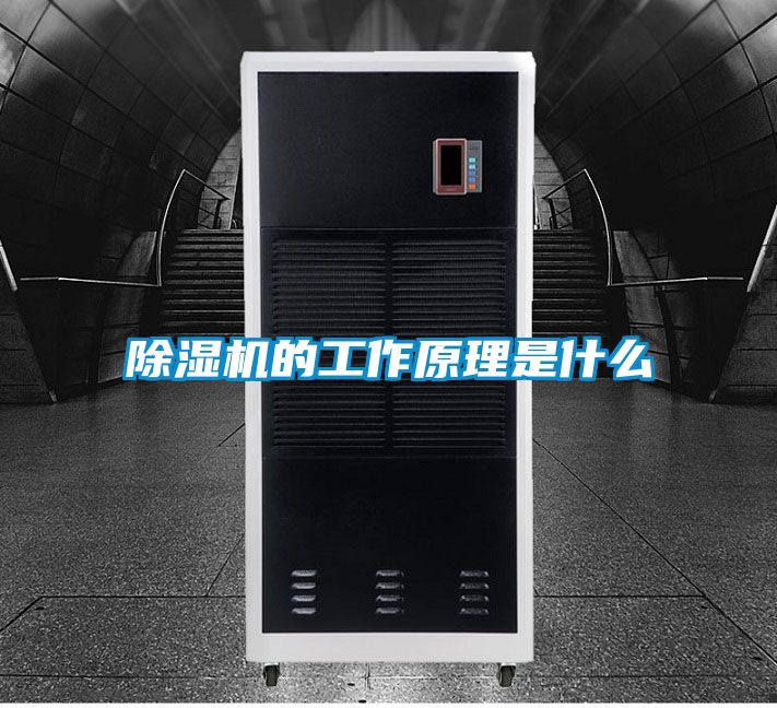 除濕機的工作原理是什么