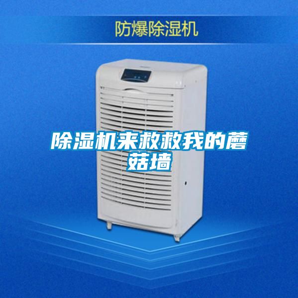 除濕機來救救我的蘑菇墻