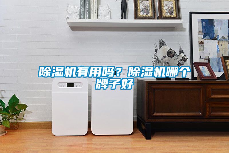 除濕機(jī)有用嗎?除濕機(jī)哪個(gè)牌子好