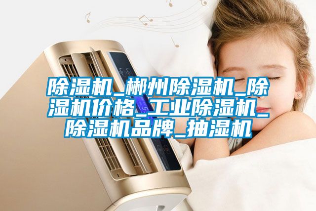 除濕機(jī)_郴州除濕機(jī)_除濕機(jī)價(jià)格_工業(yè)除濕機(jī)_除濕機(jī)品牌_抽濕機(jī)