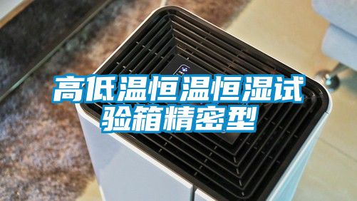 高低溫恒溫恒濕試驗(yàn)箱精密型