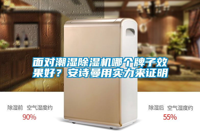 面對潮濕除濕機哪個牌子效果好?安詩曼用實力來證明