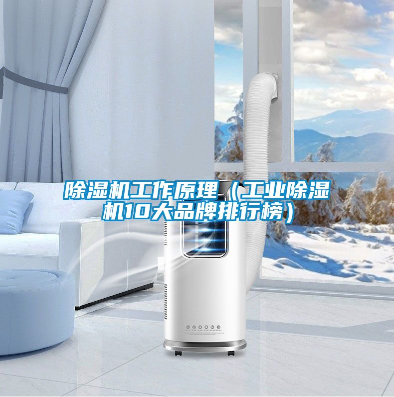 除濕機工作原理(工業除濕機10大品牌排行榜)