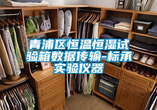 青浦區(qū)恒溫恒濕試驗箱數(shù)據(jù)傳輸-標(biāo)承實驗儀器
