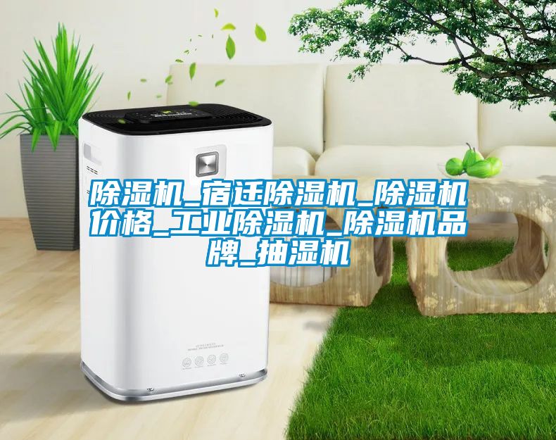 除濕機_宿遷除濕機_除濕機價格_工業除濕機_除濕機品牌_抽濕機