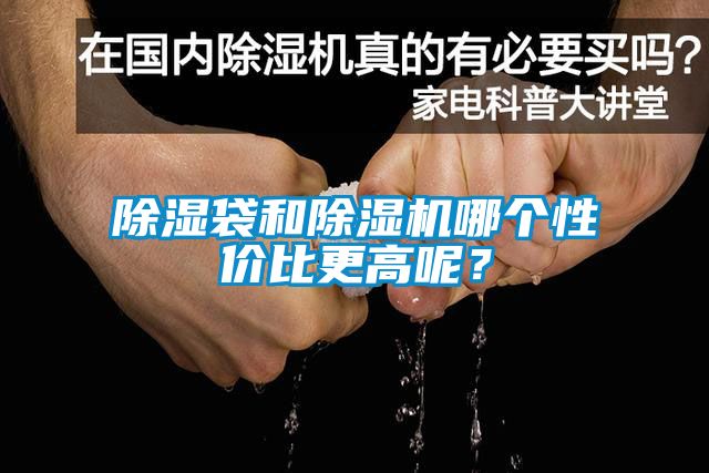 除濕袋和除濕機哪個性價比更高呢？