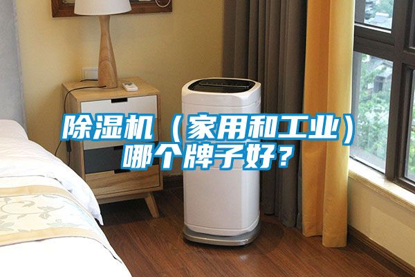 除濕機（家用和工業）哪個牌子好？