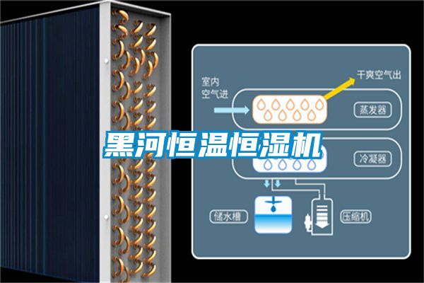 黑河恒溫恒濕機