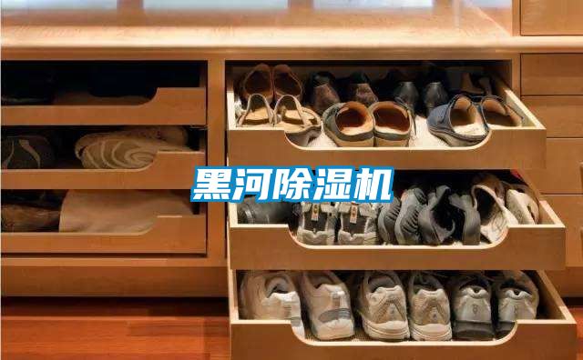 黑河除濕機
