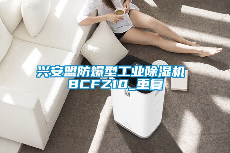 興安盟防爆型工業(yè)除濕機(jī) BCFZ10_重復(fù)