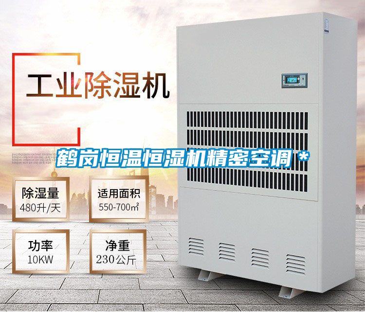 鶴崗恒溫恒濕機精密空調*