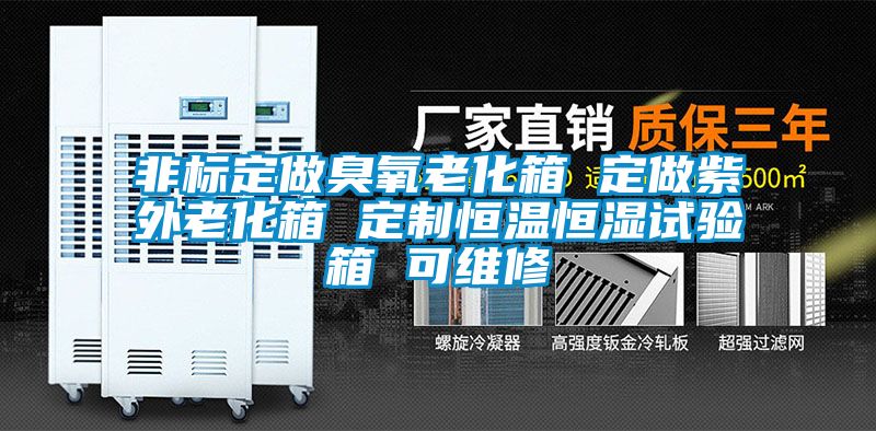 非標定做臭氧老化箱 定做紫外老化箱 定制恒溫恒濕試驗箱 可維修