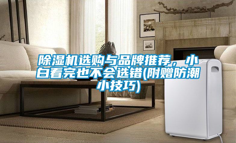 除濕機選購與品牌推薦，小白看完也不會選錯(附贈防潮小技巧)