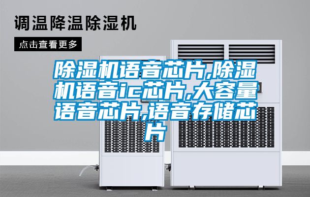 除濕機語音芯片,除濕機語音ic芯片,大容量語音芯片,語音存儲芯片