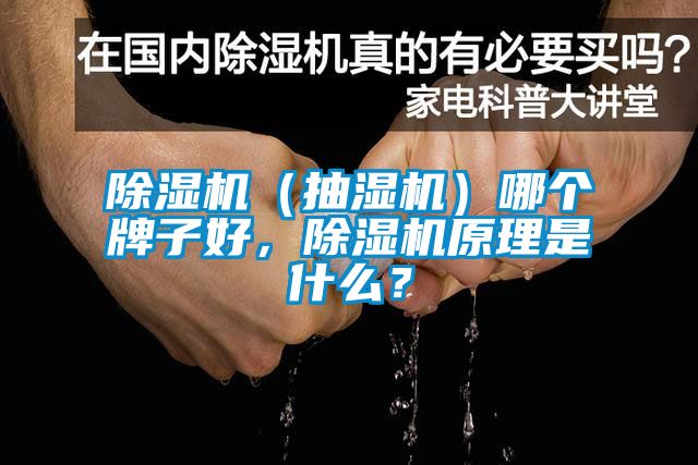 除濕機(抽濕機)哪個牌子好,除濕機原理是什么?