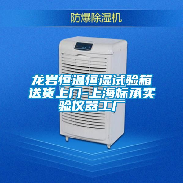 龍巖恒溫恒濕試驗箱送貨上門-上海標承實驗儀器工廠