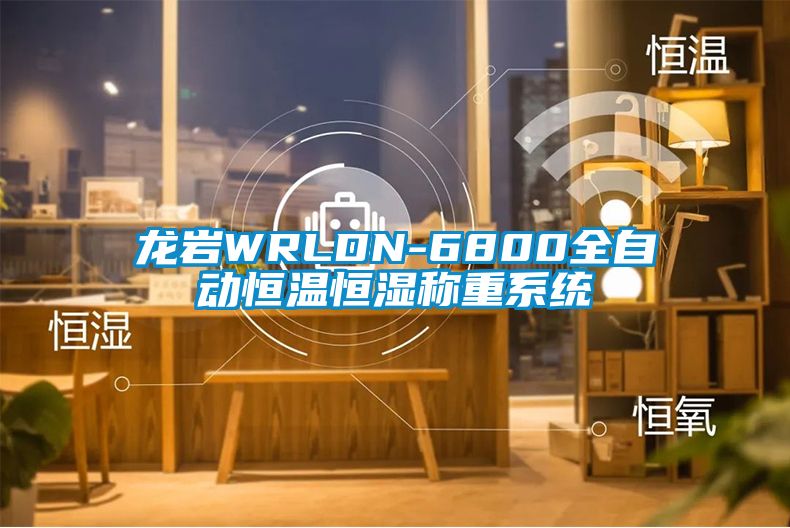 龍巖WRLDN-6800全自動恒溫恒濕稱重系統