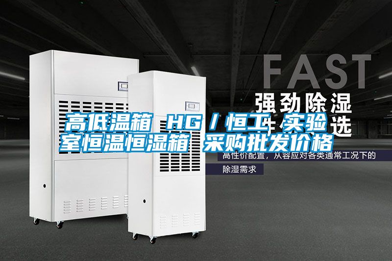 高低溫箱 HG/恒工 實驗室恒溫恒濕箱 采購批發價格