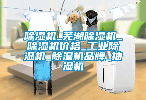 除濕機_蕪湖除濕機_除濕機價格_工業除濕機_除濕機品牌_抽濕機