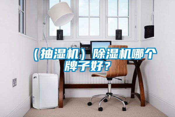 (抽濕機)除濕機哪個牌子好?