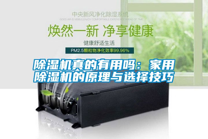除濕機(jī)真的有用嗎：家用除濕機(jī)的原理與選擇技巧