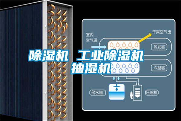 除濕機(jī) 工業(yè)除濕機(jī) 抽濕機(jī)