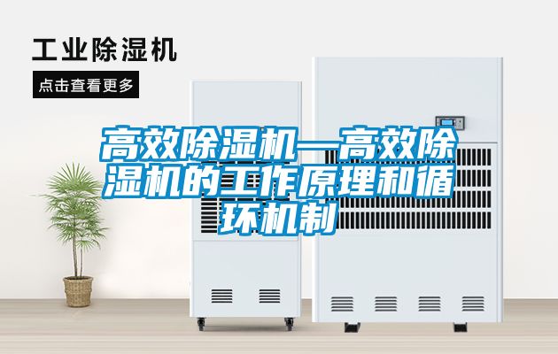 高效除濕機—高效除濕機的工作原理和循環機制
