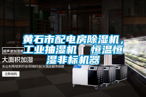 黃石市配電房除濕機,工業抽濕機 恒溫恒濕非標機器