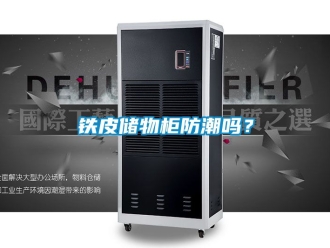 常見問題鐵皮儲物柜防潮嗎？